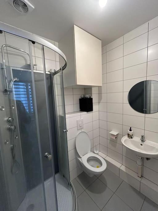 Studio Proche Du Centre-Ville Straatsburg Buitenkant foto